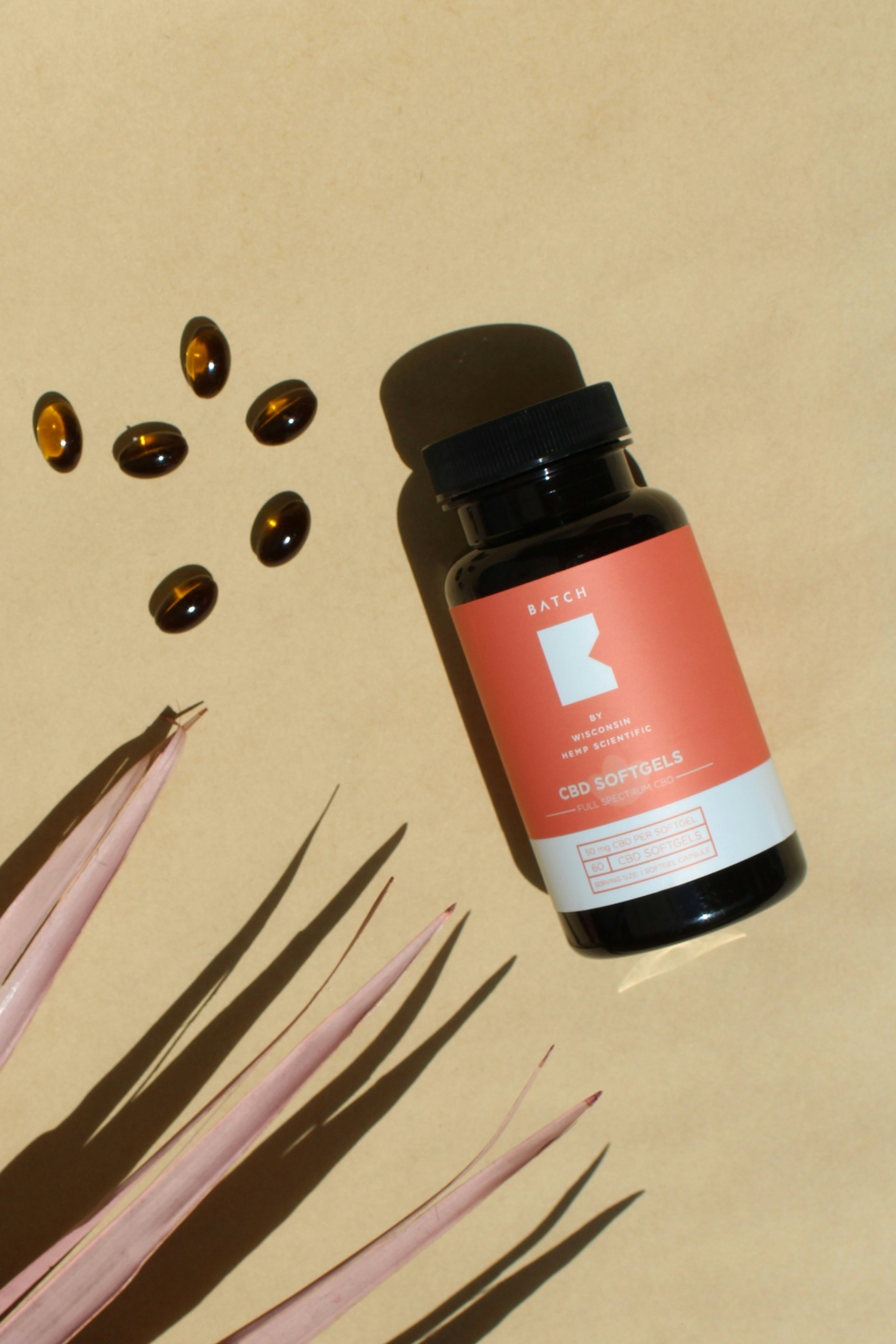 Imagine despre filosofie